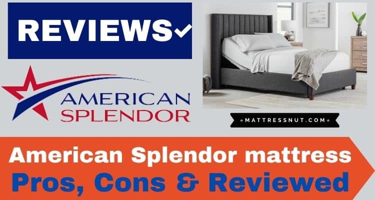 American Splendor Mattress Reviews