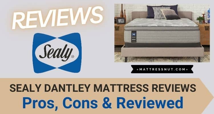 Sealy Dantley Mattress Reviews