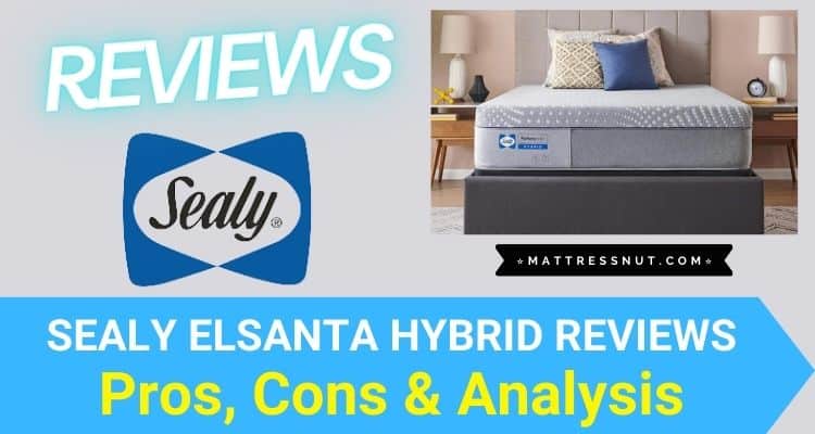 Sealy Elsanta Hybrid Reviews