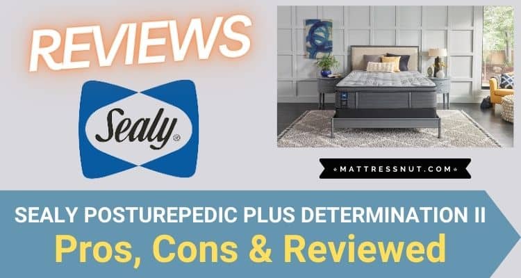 Sealy Posturepedic Plus Determination II Reviews