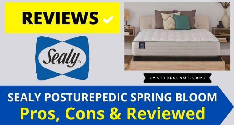 sealy posturepedic spring bloom 12'' medium mattress reviews