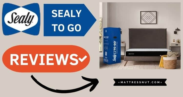 Sealy to go Reviews