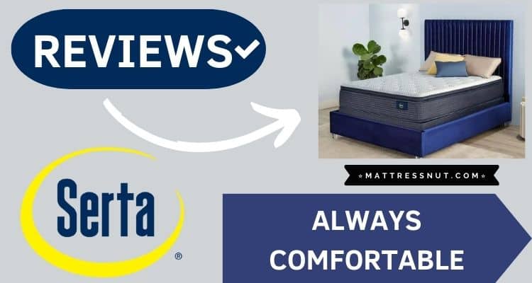 Serta Always Comfortable Reviews