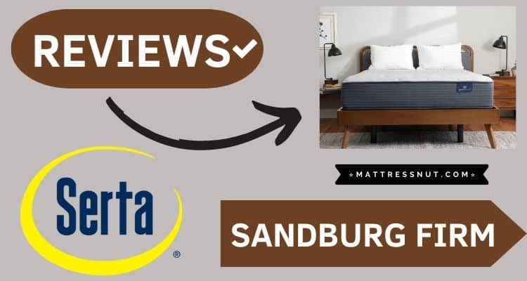 sandburg firm mattress queen prime reviews