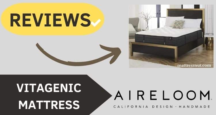 vitagenic mattress by aireloom reviews