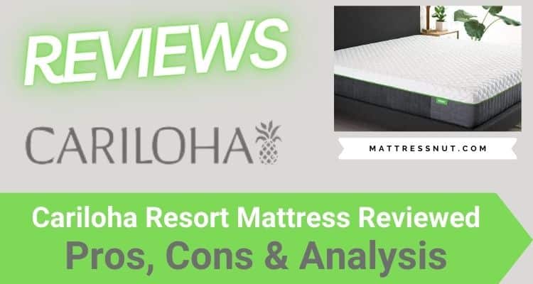 cariloha resort mattress review