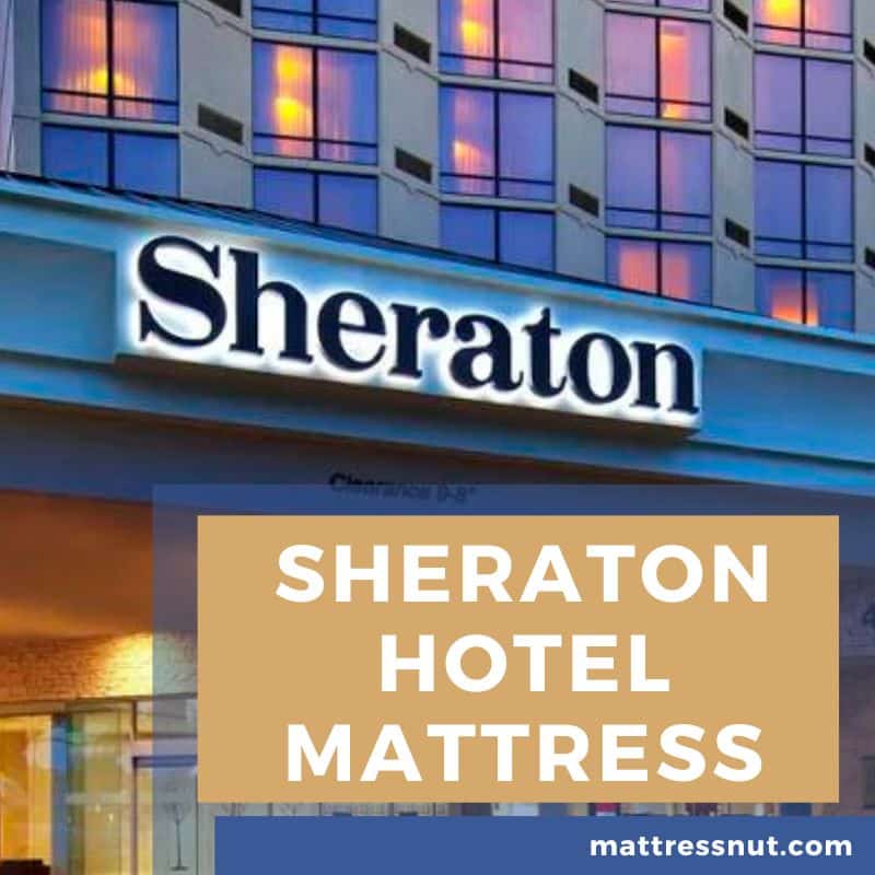 Sheraton Hotel Mattress