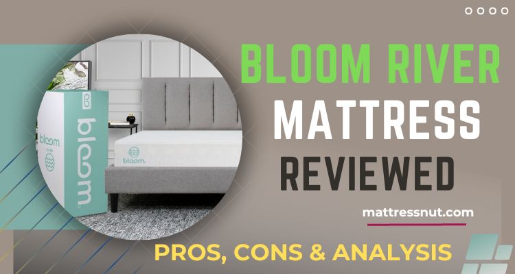 Bloom River Mattress Reviews