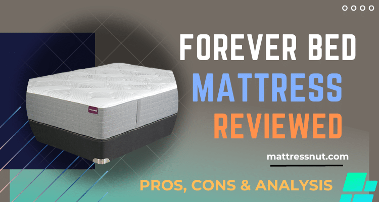 Forever Bed Mattress Reviews