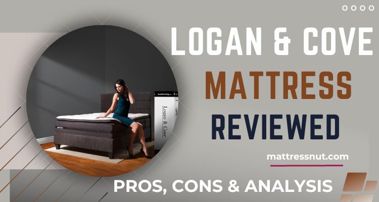 logan and cove mattress showroom