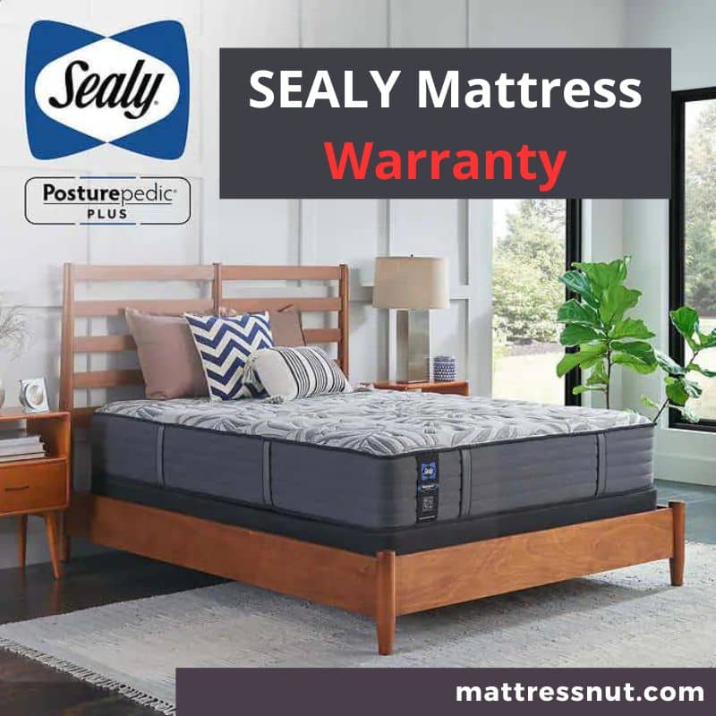 Sealy Mattress Warranty