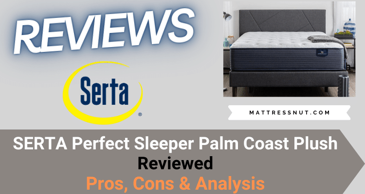 palm coast plush mattress review