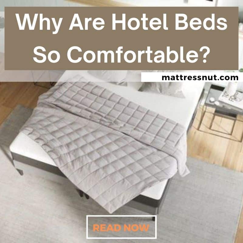 why-are-hotel-beds-so-comfortable-hidden-secrets