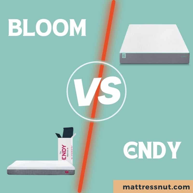 Bloom Vs Endy