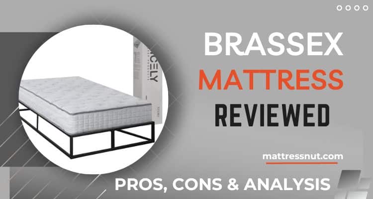 Brassex Mattress Reviews