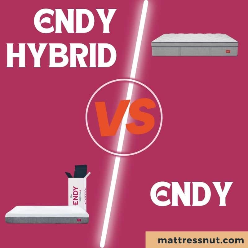 Endy Hybrid Vs Endy