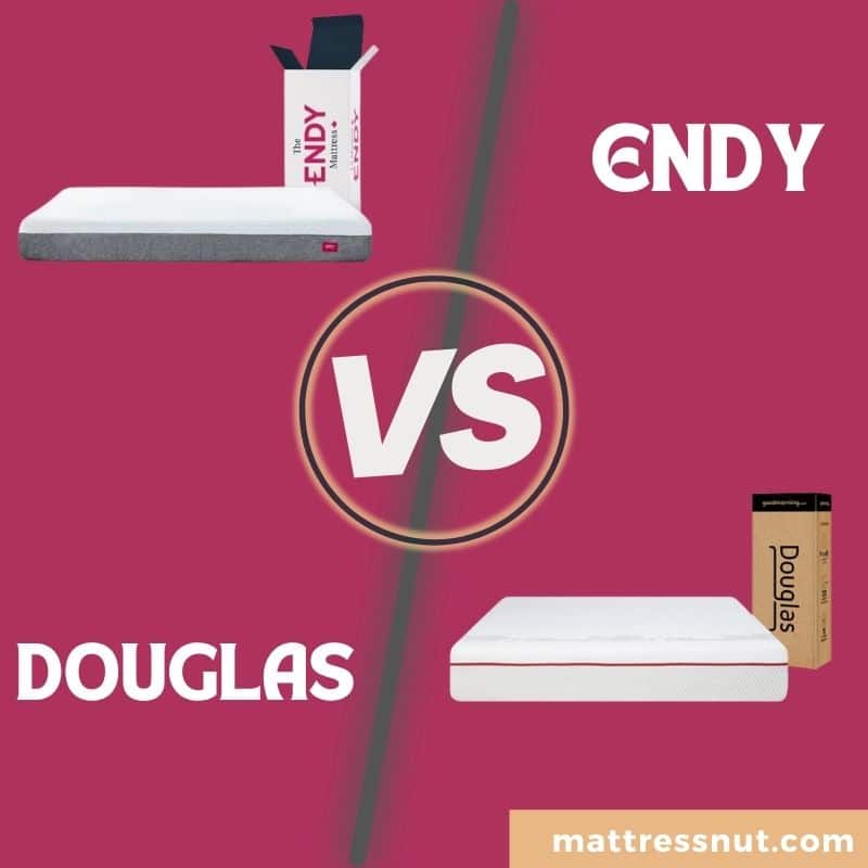 Endy Vs Douglas