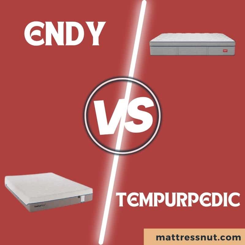 Endy vs Tempurpedic