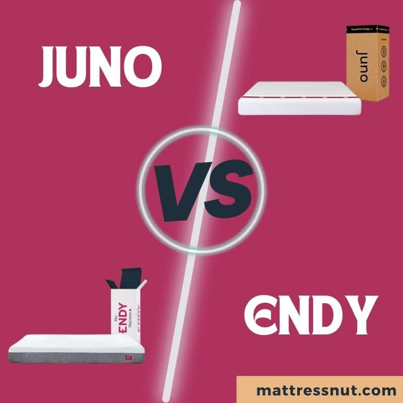 Juno Vs Endy