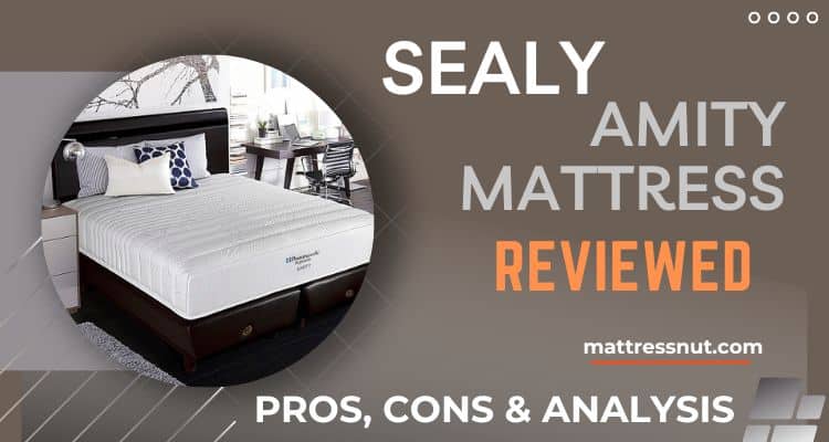 Sealy Amity Mattress Reviews