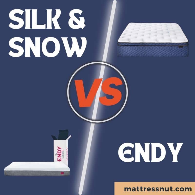 Silk and Snow vs Endy