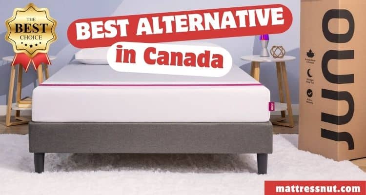 The Juno Mattress Best Alternative in Canada