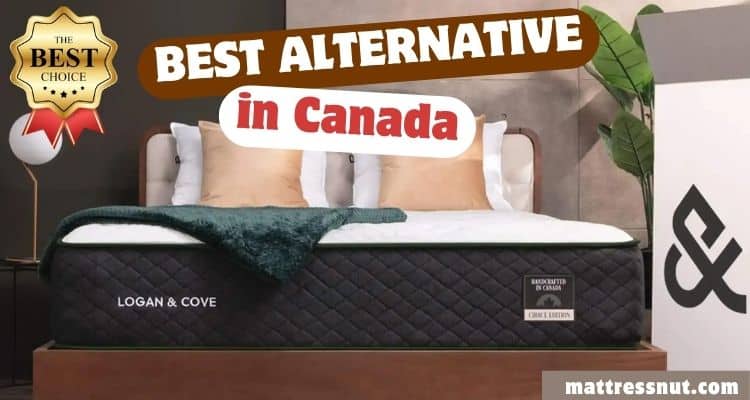 Logan and Cove Mattress Best Alternative in Canada