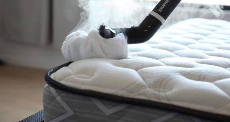 Alternatives to Bed Bug Zappers