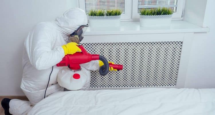 Alternatives to Pine-Sol for Bed Bug Control