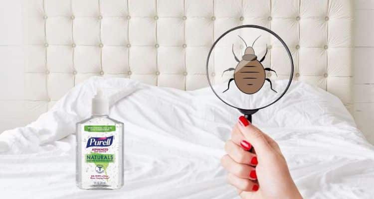 Is Hand Sanitizer Effective in Eliminating Bed Bugs