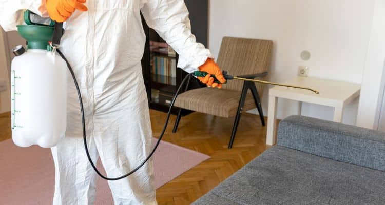 bed bug pest control service